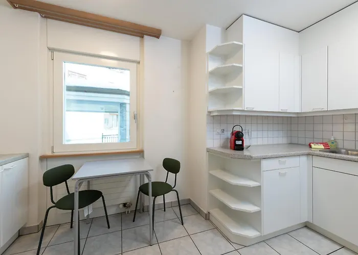 Cozy Duplex Garden & Family Comfort 公寓 圣莫里茨